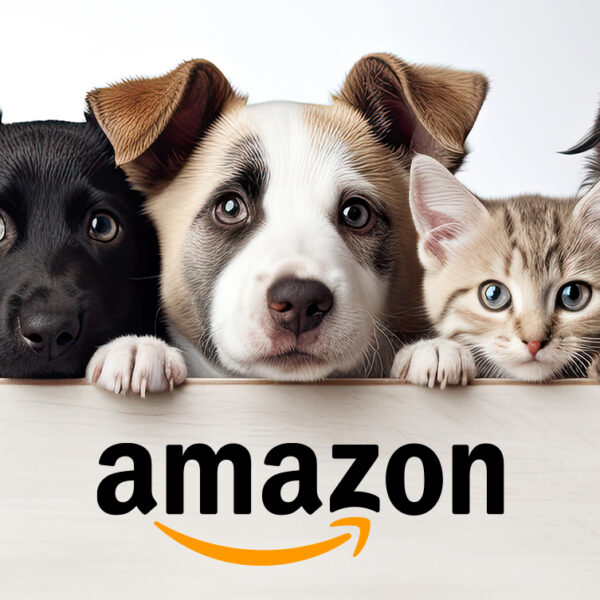 Dogs and Cats with the Amazon logo