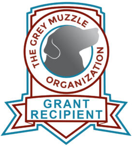 The Grey Muzzle Grant Recipient