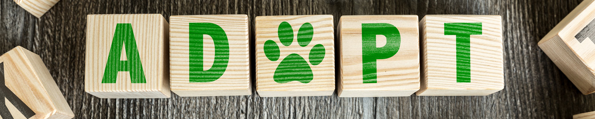 Toy Blocks spelling out Adoption with paw print