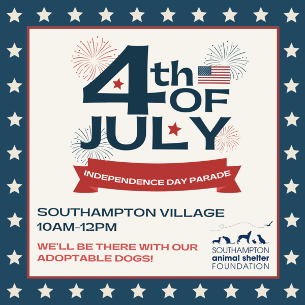 Southampton 4th Of July Parade Southampton Animal Foundation